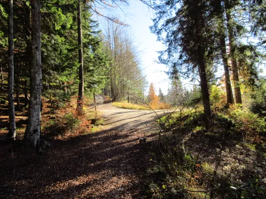 Incrocio con il tornante