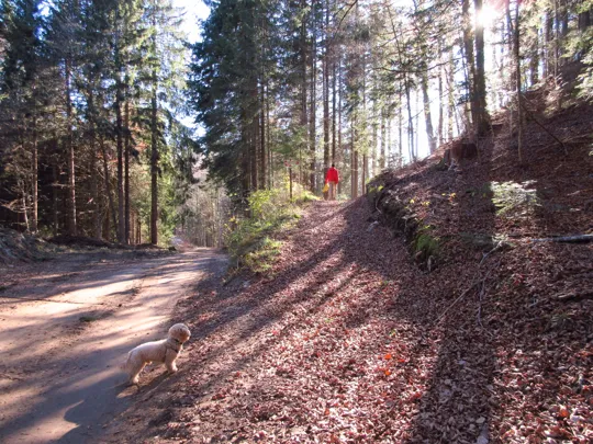 Incrocio con il sentiero verso il cimitero