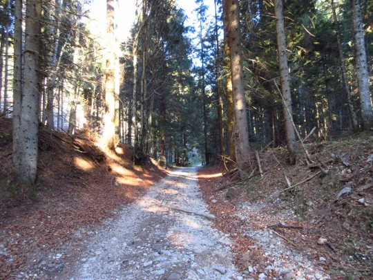 Dettaglio del percorso