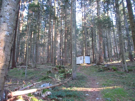 Torre di rilevamento dei flussi di carbonio