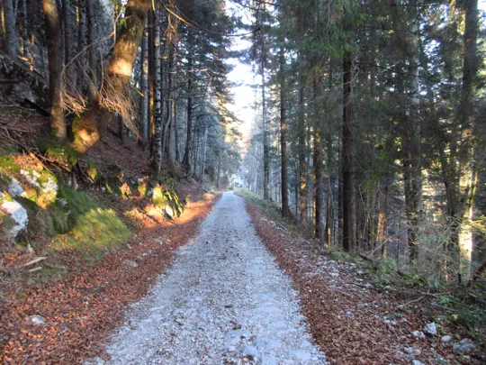 Dettaglio del percorso