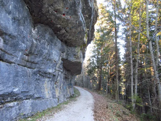 Dettaglio del percorso