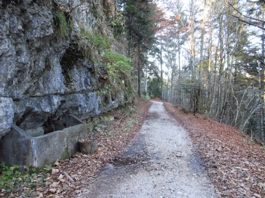 Dettaglio del percorso