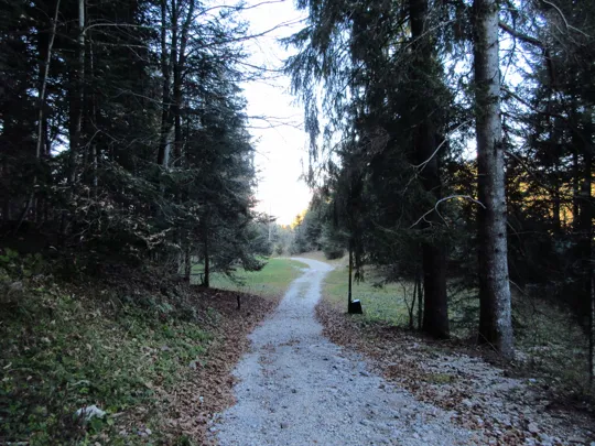 Dettaglio del percorso