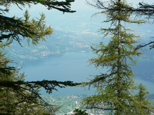 Monte Cimone - Lavarone - Lago di Caldonazzo