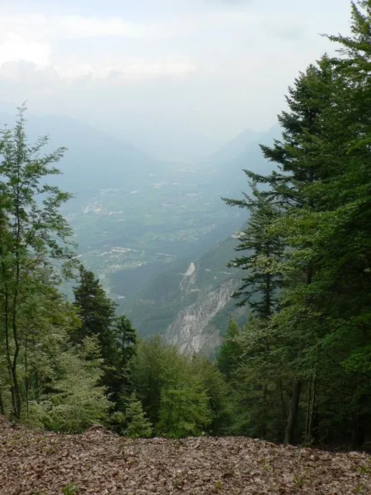 Monte Cimone - Lavarone - In cima