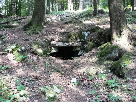 Appostamento nella strada di accesso