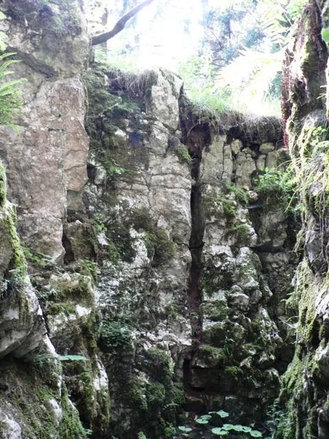 Monte Lemerle - Trinceramenti