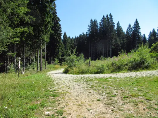 Proseguire sulla strada a sinistra