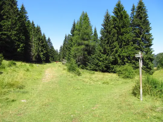 Dettaglio del percorso