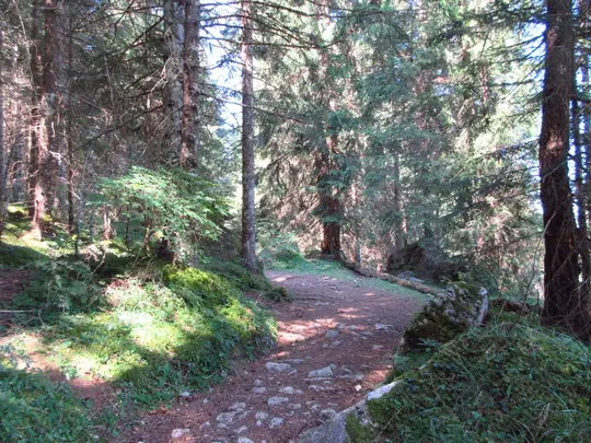 Dettaglio del percorso