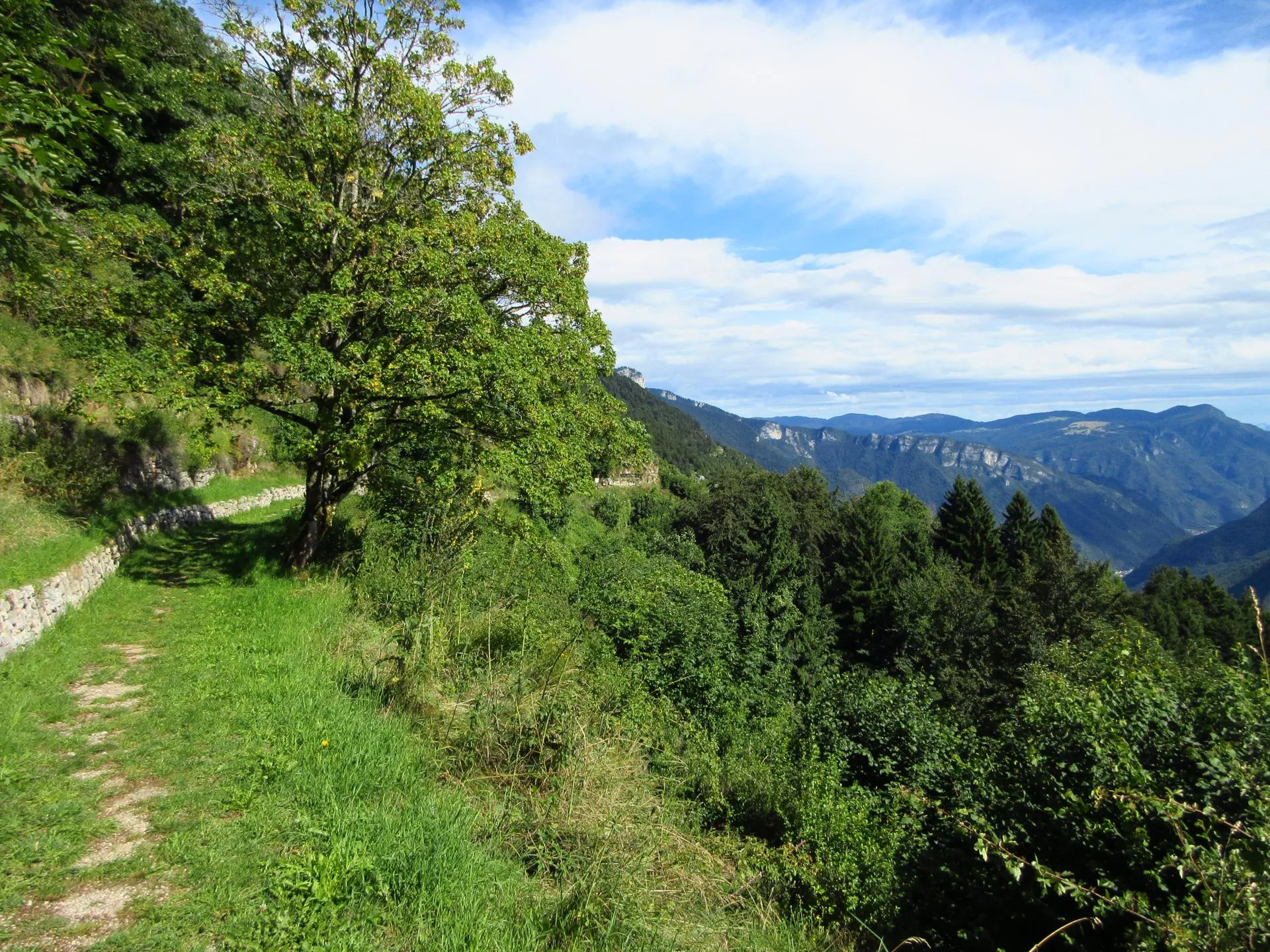 Luserna - Punto panoramico sulla Val d'Astico