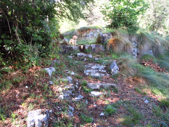 Dettaglio della scaletta