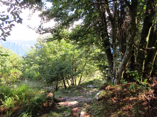 Punto del sentiero più difficoltoso