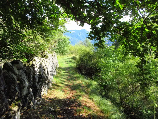 Dettaglio del sentiero