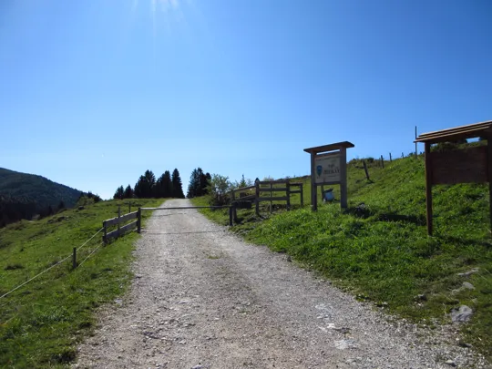 Dettaglio della strada verso la malga