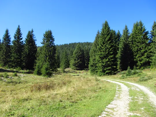 Dettaglio del percorso