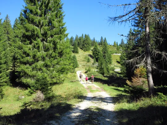 Dettaglio del percorso