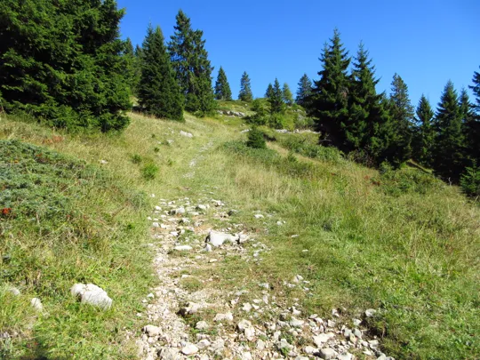 Dettaglio del sentiero