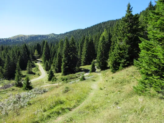 Vista della strada da sopra al sentiero