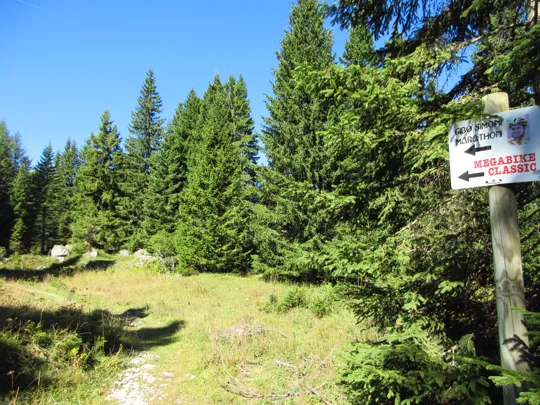 Dettaglio del sentiero