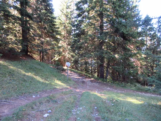 Incrocio con la mulattiera