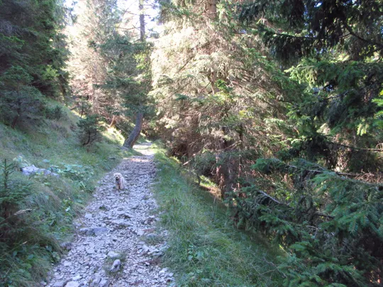 Dettaglio del sentiero