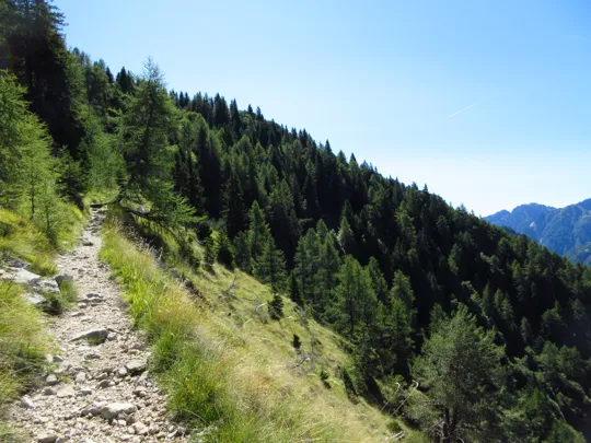 Dettaglio del sentiero