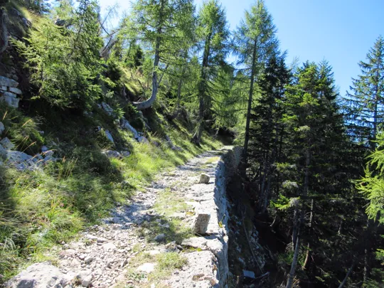 Dettaglio del sentiero