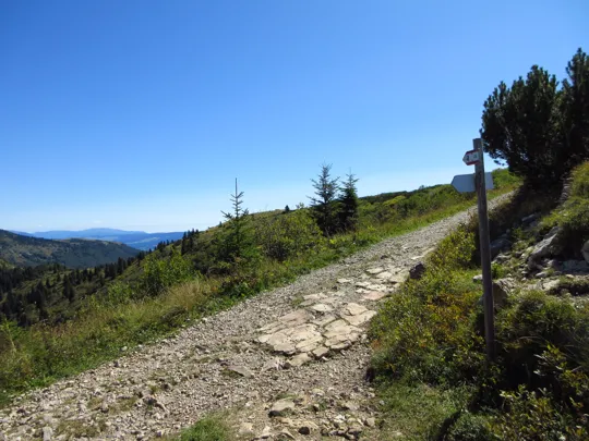 Strada verso la cima