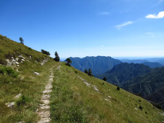 Dettaglio del sentiero