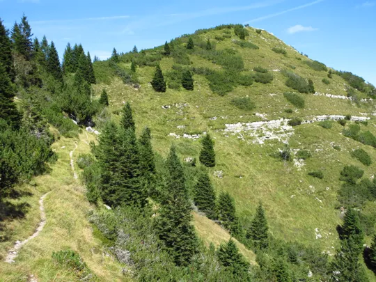 Dettaglio del sentiero