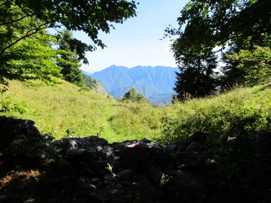 Dettaglio del sentiero