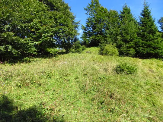 Sentiero "invisibile" verso il capitello