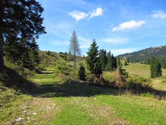 La strada di ritorno