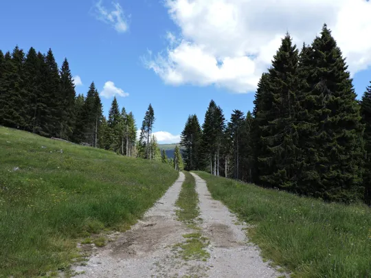 Dettaglio della strada dopo malga Mandrielle