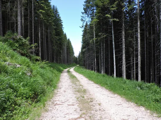 Dettaglio della strada