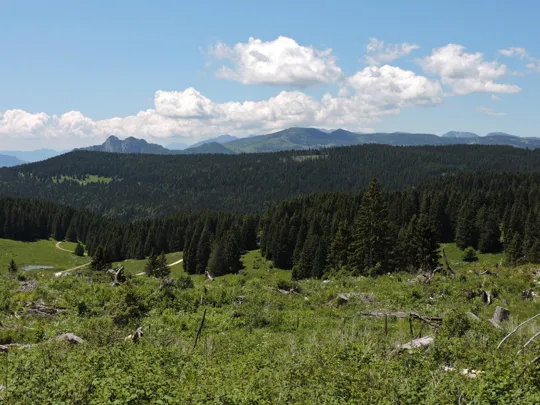 Panorama verso monte Campomolon