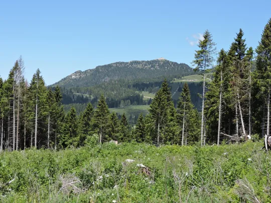 Panorama verso Spitz Vezzena