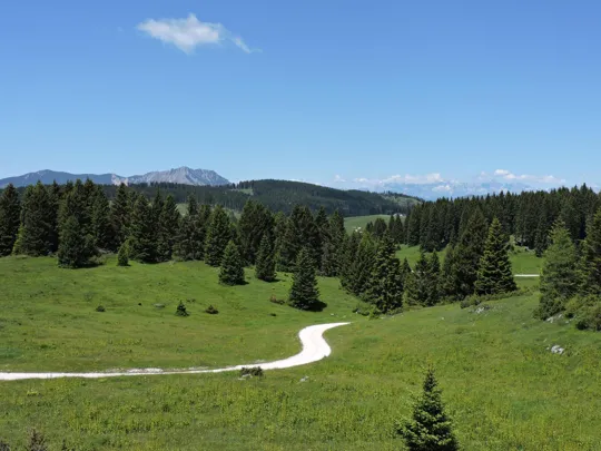 La strada verso il Vezzena