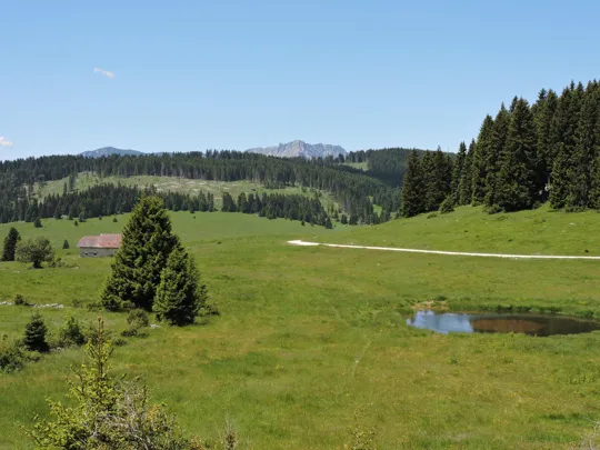 Dettaglio della strada verso il Vezzena