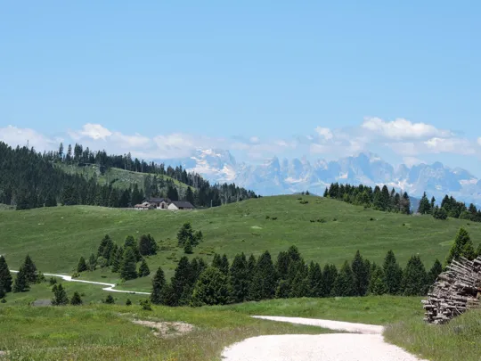 Dettaglio della strada verso il Vezzena