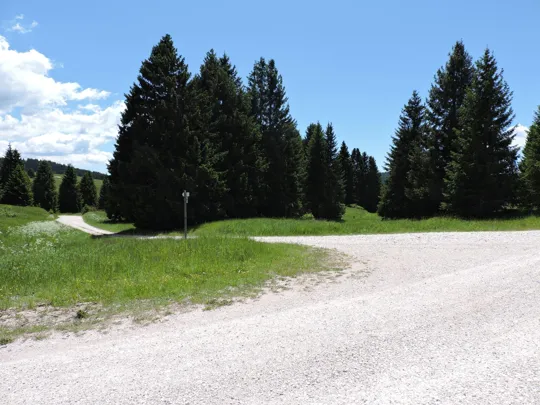 Incrocio, prendere la strada a sinistra