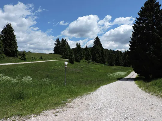 Dettaglio della strada dopo l'incrocio