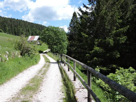 Dettaglio della strada