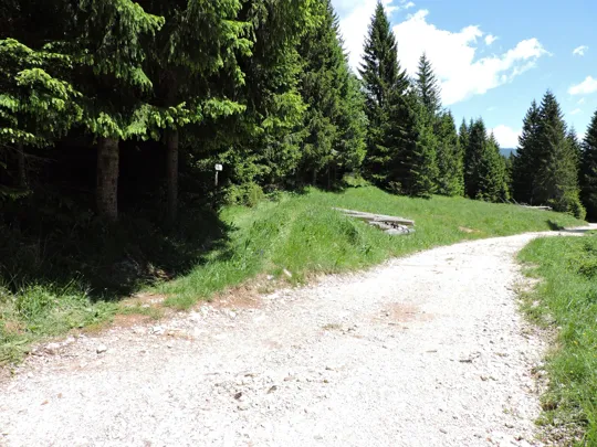 Uscita dalla strada ed inizio sentiero