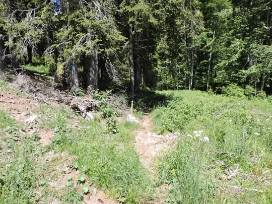 Paletto di indicazione del sentiero