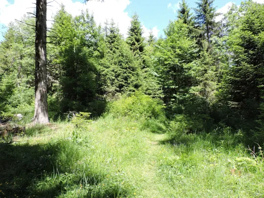 Parte finale del sentiero