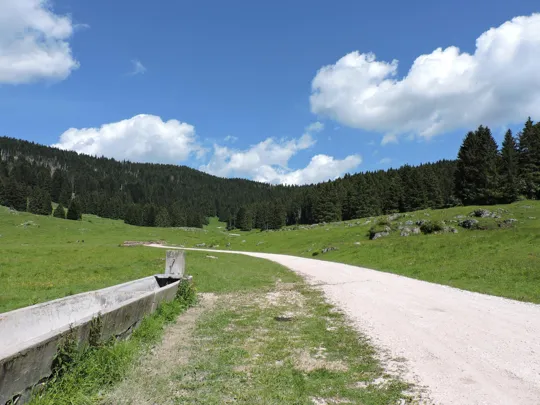 Verso malga Mandrielle