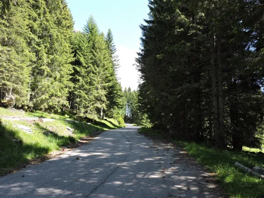 Verso malga Mandrielle